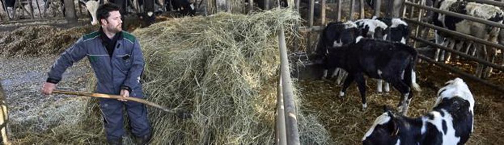 Gildas et Nicolas Bourdin, et les deux fils de Gildas, Baptiste, l’aîné, et Jules.  
THIERRY PASQUET/SIGNATURES